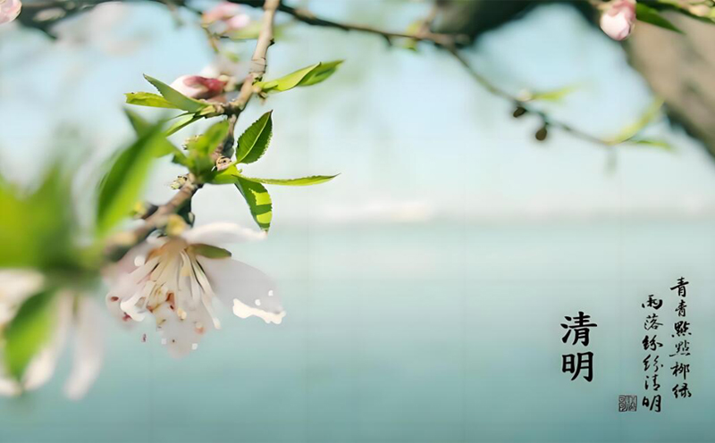 清明节|2024|PP电子
